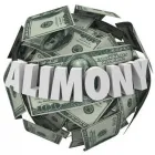 Business 13 image LAW OFFICES OF RL JOHNSON PLLC Trial Attorneys in Livonia MI