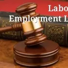 Business 21 image LAW OFFICES OF RL JOHNSON PLLC Trial Attorneys in Livonia MI