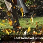 Business 3 image LAWN CARE SOLUTIONS - DALLAS Landscape Contractors in Dallas TX