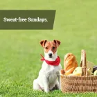 Business 4 image LAWN LOVE LAWN CARE OF OKLAHOMA CITY lawn cutting in Oklahoma City OK