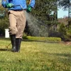 Business 2 image LAWN VETS in Sand Springs OK