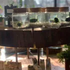 Business 6 image LEAF Florists in Akron OH