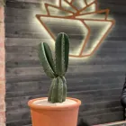 Business 7 image LEAF Florists in Akron OH