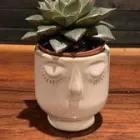 Business 8 image LEAF Florists in Akron OH