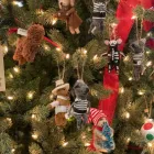 Business 12 image LEAF Florists in Akron OH