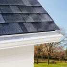 Business 1 image LEAFFILTER GUTTER PROTECTION LeafGuard in Savannah GA