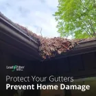 Business 20 image LEAFFILTER GUTTER PROTECTION LeafGuard in Savannah GA