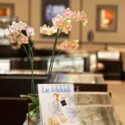 Business 45 image LEE MICHAELS FINE JEWELRY Clocks & Watches in San Antonio TX