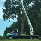 Business 3 image LEE'S GENERAL CONTRACTING Tree Care Company in Kansas City MO