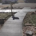 Business 1 image LEGENDRE LLC Driveway Repair Contractor in Tucson AZ