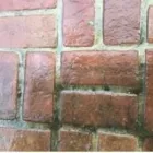 Business 4 image LEISURE LAWN AND LANDSCAPING, LLC Residential Landscaping in Lexington KY