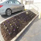 Business 8 image LEISURE LAWN AND LANDSCAPING, LLC Residential Landscaping in Lexington KY