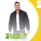 Business 1 image LEMON TREE HAIR SALON MAMARONECK Hairstyles in Mamaroneck NY