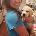 Business 2 image LEVAN ROAD VETERINARY HOSPITAL Veterinarians in Livonia MI