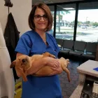 Business 4 image LEVAN ROAD VETERINARY HOSPITAL Veterinarians in Livonia MI