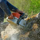 Business 4 image LEXINGTON TREE CUTTING & TRIMMING SERVICES Tree Service in Lexington KY