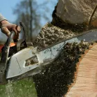 Business 7 image LEXINGTON TREE CUTTING & TRIMMING SERVICES Tree Service in Lexington KY