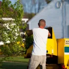 Business 9 image LEXINGTON TREE CUTTING & TRIMMING SERVICES Tree Service in Lexington KY