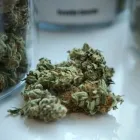 Business 4 image LIFE STYLE DISPENSARY Cannabis Flower in Broken Arrow OK