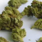 Business 5 image LIFE STYLE DISPENSARY Cannabis Flower in Broken Arrow OK
