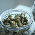 Business 6 image LIFE STYLE DISPENSARY Cannabis Flower in Broken Arrow OK