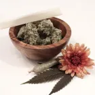 Business 13 image LIFE STYLE DISPENSARY Cannabis Flower in Broken Arrow OK