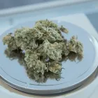 Business 14 image LIFE STYLE DISPENSARY Cannabis Flower in Broken Arrow OK