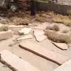 Business 2 image LIGHT LANDSCAPING, LLC Tree Service in Tucson AZ