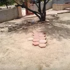 Business 4 image LIGHT LANDSCAPING, LLC Tree Service in Tucson AZ