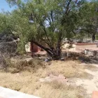 Business 5 image LIGHT LANDSCAPING, LLC Tree Service in Tucson AZ