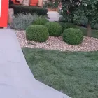 Business 3 image LIKE MAGIC LAWN & LANDSCAPING Landscaping in Kansas City MO