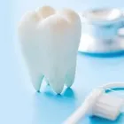 Business 1 image LIM AND YABU Dentistry in Oakland CA