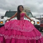 Business 4 image LIMO SERVICE OF MINNEAPOLIS in Minneapolis MN