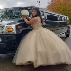 Business 13 image LIMO SERVICE OF MINNEAPOLIS in Minneapolis MN