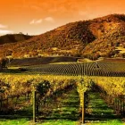 Business 9 image LIMOUSINE IN SAN FRANCISCO Transportation Services in San Francisco CA