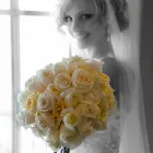 Business 8 image LIVING IMAGE PHOTOGRAPHY Wedding Photography & Videography in Jacksonville FL