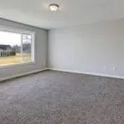 Business 2 image LIVONIA CARPET AND FLOORS in Livonia MI