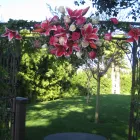 Business 1 image LIZ'S FLOWERS Wholesale Plants & Flowers in San Diego CA