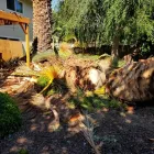 Business 6 image LJR TREE SERVICES INC in San Jose CA