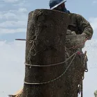 Business 14 image LJR TREE SERVICES INC in San Jose CA