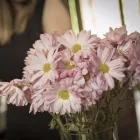 Business 1 image LORI GILL & ASSOCIATES / WINDERMERE PROPERTY MANAGEMENT Real Estate Agents in Bellevue WA