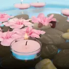 Business 4 image LOTUS FLOWER FACIALS Spa in Jacksonville FL