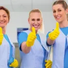 Business 4 image LOVE MY MAIDS House Cleaning in Arlington TX