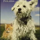Business 2 image LOYAL FRIENDS PET CREMATION CENTRE LLC in London KY