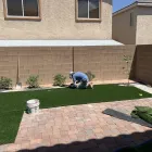 Business 1 image LOZOYA SERVICES LLC Tree Trimming Service in Las Vegas NV