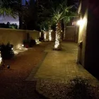 Business 17 image LOZOYA SERVICES LLC Tree Trimming Service in Las Vegas NV