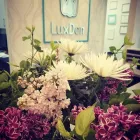 Business 3 image LUXDEN DENTAL CENTER in Brooklyn NY