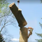 Business 1 image LUXURY CUSTOM LANDSCAPES, LLC Tree Service in Las Vegas NV