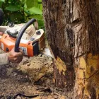 Business 5 image LUXURY CUSTOM LANDSCAPES, LLC Tree Service in Las Vegas NV