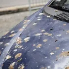 Business 17 image MAACO COLLISION REPAIR & AUTO PAINTING Auto Body Shop in Sunnyvale CA